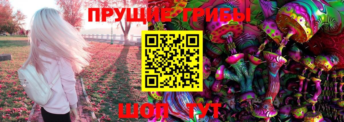 Курганинск  Псилоцибиновые грибы GOLDEN TEACHER  Вход с VPN 